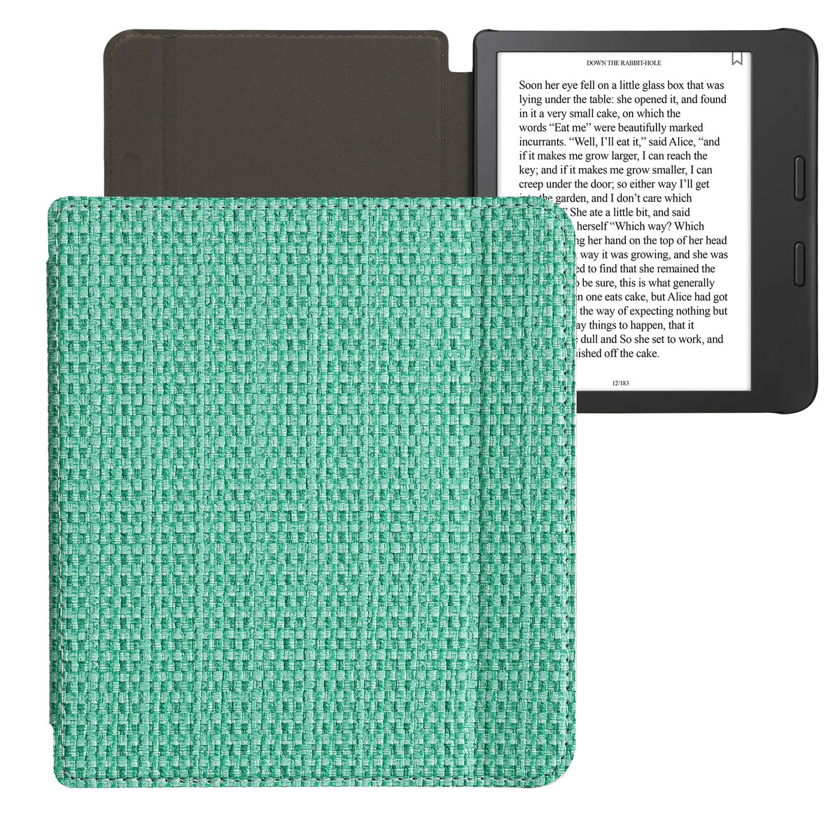 Case for Tolino Vision 6