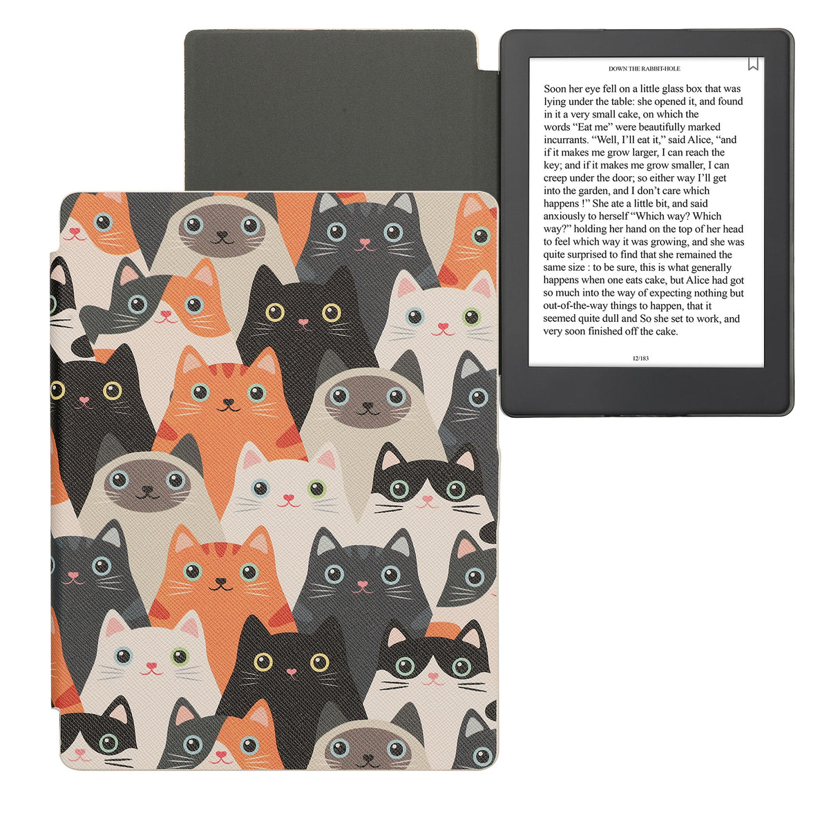 Kobo Aura H2O Edition 2 with Auto Sleep eReader Flip Case