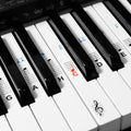 kwmobile Klavier Keyboard Noten Aufkleber - für 49 61 76 88 Tasten Instrumente - Transparente Vinyl Piano Sticker für weiße Tasten - mit Anleitung Transparent  [dsg01]