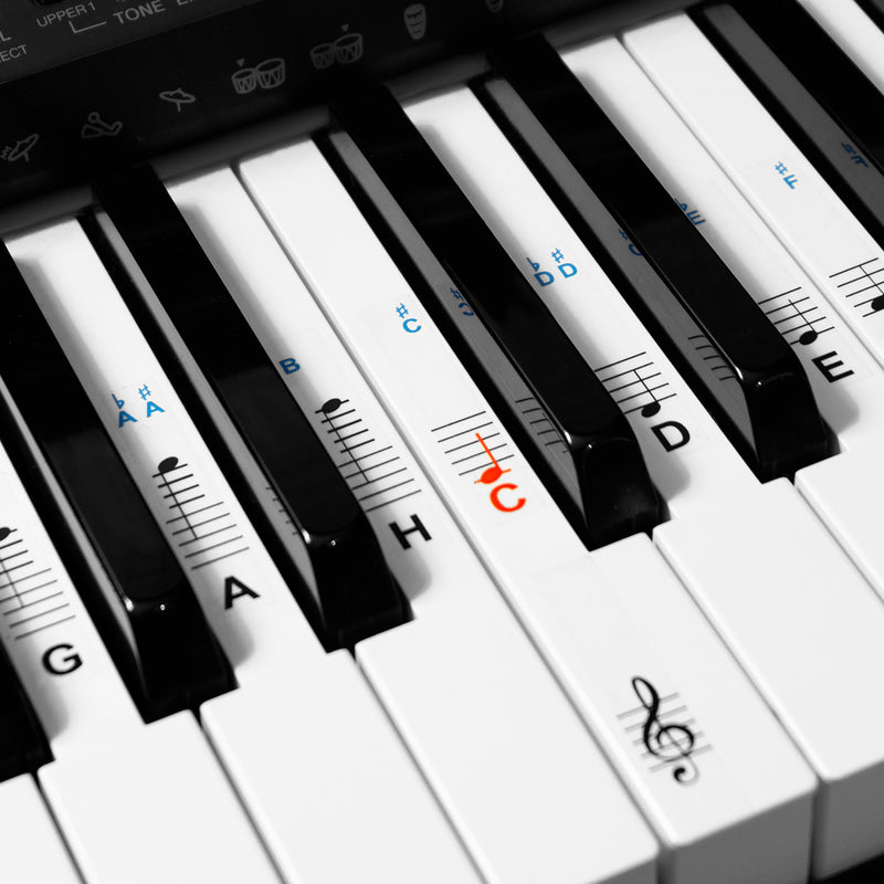 kwmobile Klavier Keyboard Noten Aufkleber - für 49 61 76 88 Tasten Instrumente - Transparente Vinyl Piano Sticker für weiße Tasten - mit Anleitung Transparent  [dsg01]