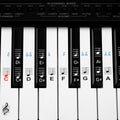 kwmobile Klavier Keyboard Noten Aufkleber - für 49 61 76 88 Tasten Instrumente - Vinyl Piano Sticker für weiße
