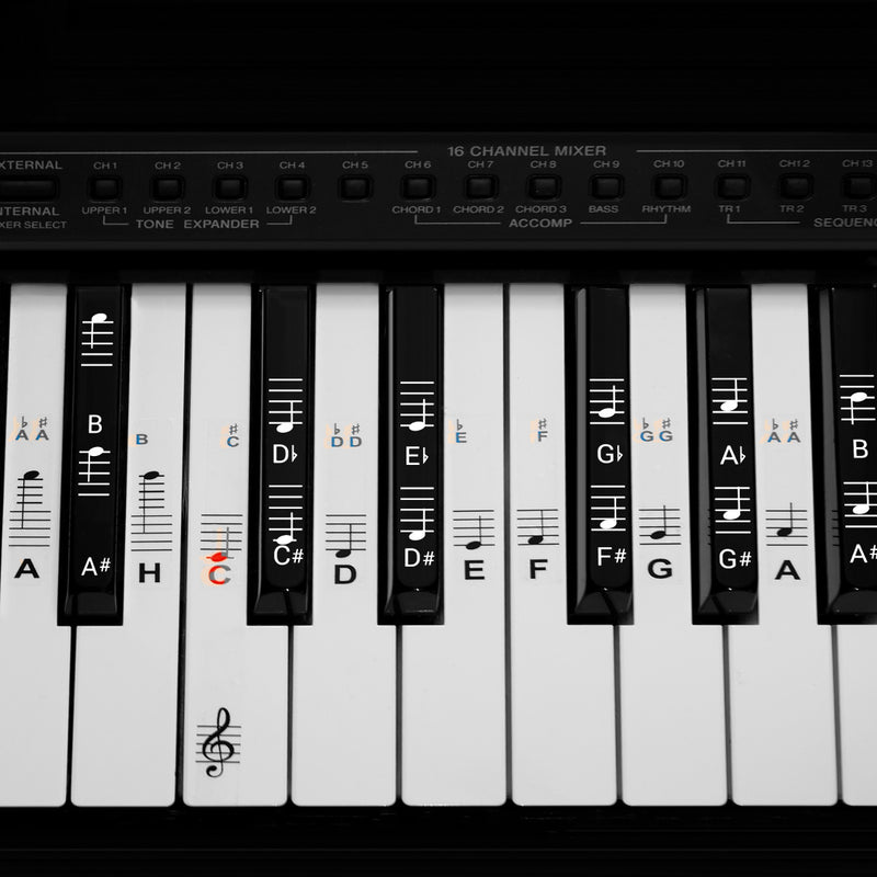 kwmobile Klavier Keyboard Noten Aufkleber - für 49 61 76 88 Tasten Instrumente - Vinyl Piano Sticker für weiße