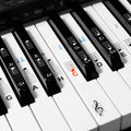 kwmobile Klavier Keyboard Noten Aufkleber - für 49 61 76 88 Tasten Instrumente - Vinyl Piano Sticker für weiße und schwarze Tasten - mit Anleitung Transparent  [dsg01]
