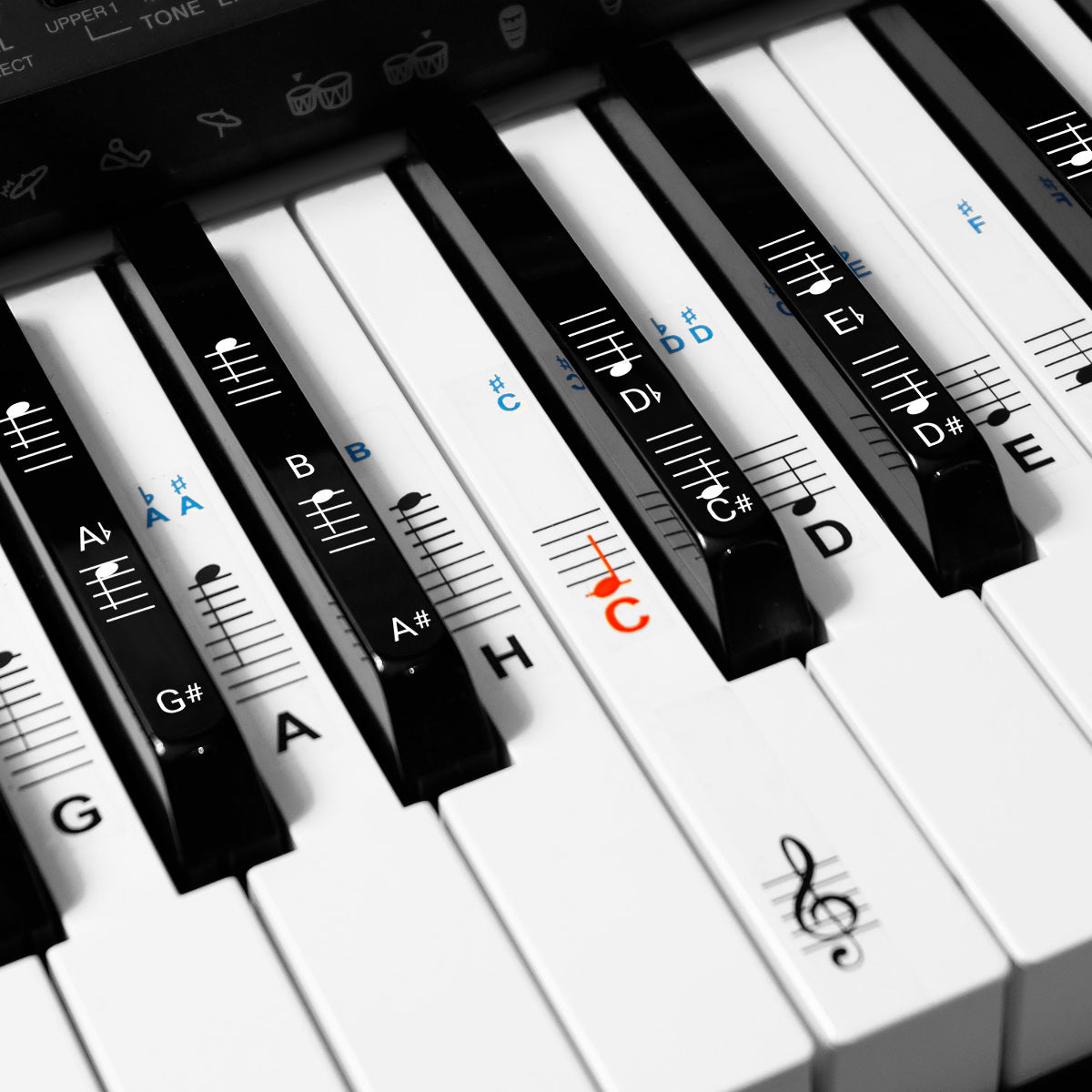 kwmobile Klavier Keyboard Noten Aufkleber - für 49 61 76 88 Tasten Instrumente - Vinyl Piano Sticker für weiße und schwarze Tasten - mit Anleitung Transparent  [dsg01]