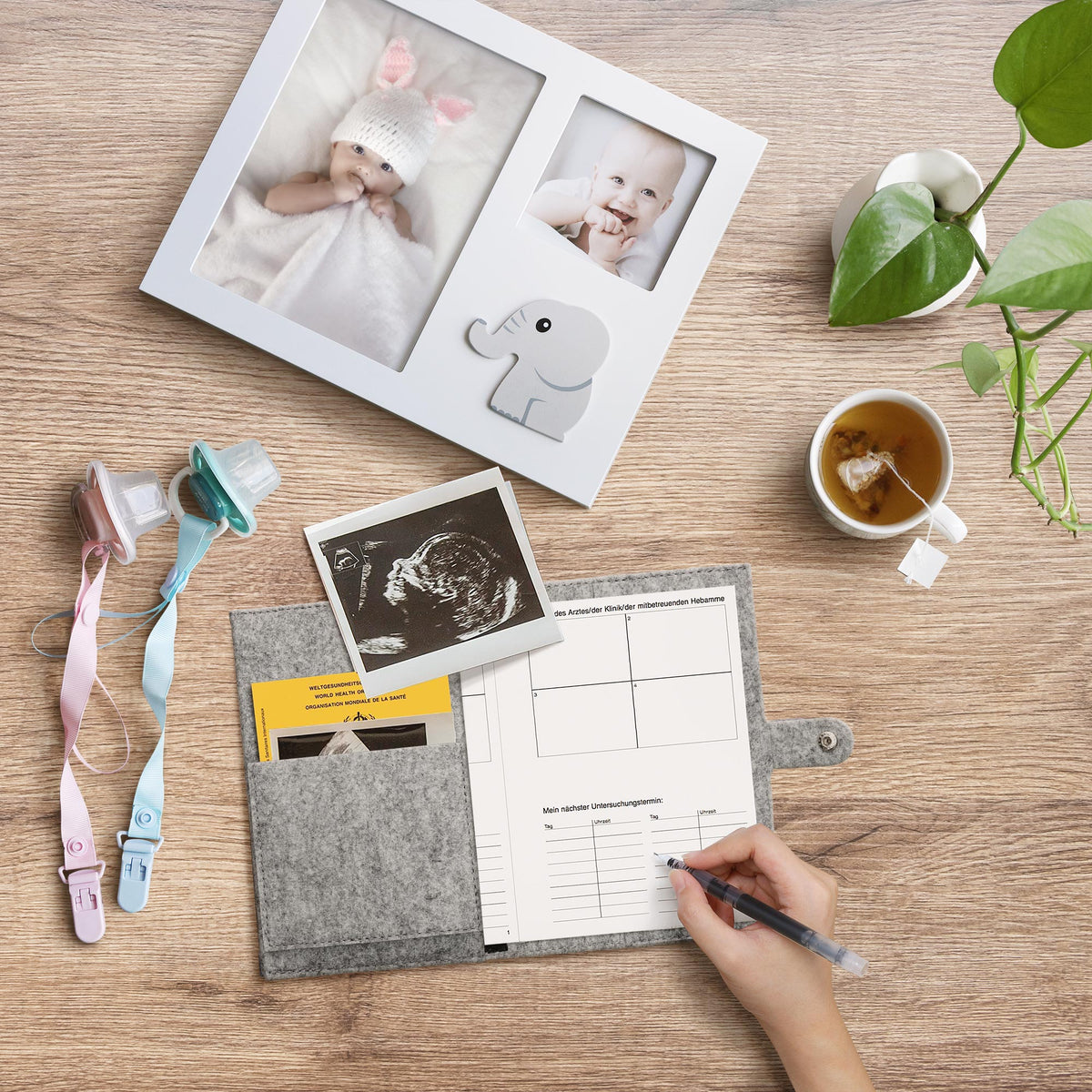 Felt Maternity Record Holder
