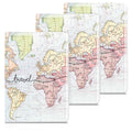3x Plastic Passport Cover