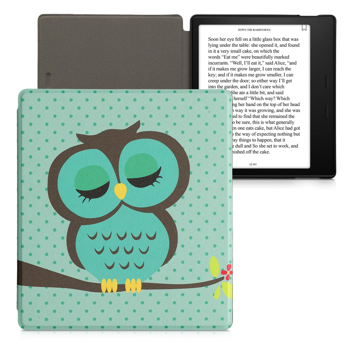 eReader Flip Case for Amazon Kindle Oasis 10th Generation with Auto Sleep