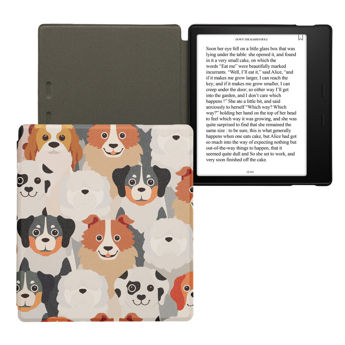 eReader Flip Case for Amazon Kindle Oasis 10th Generation with Auto Sleep