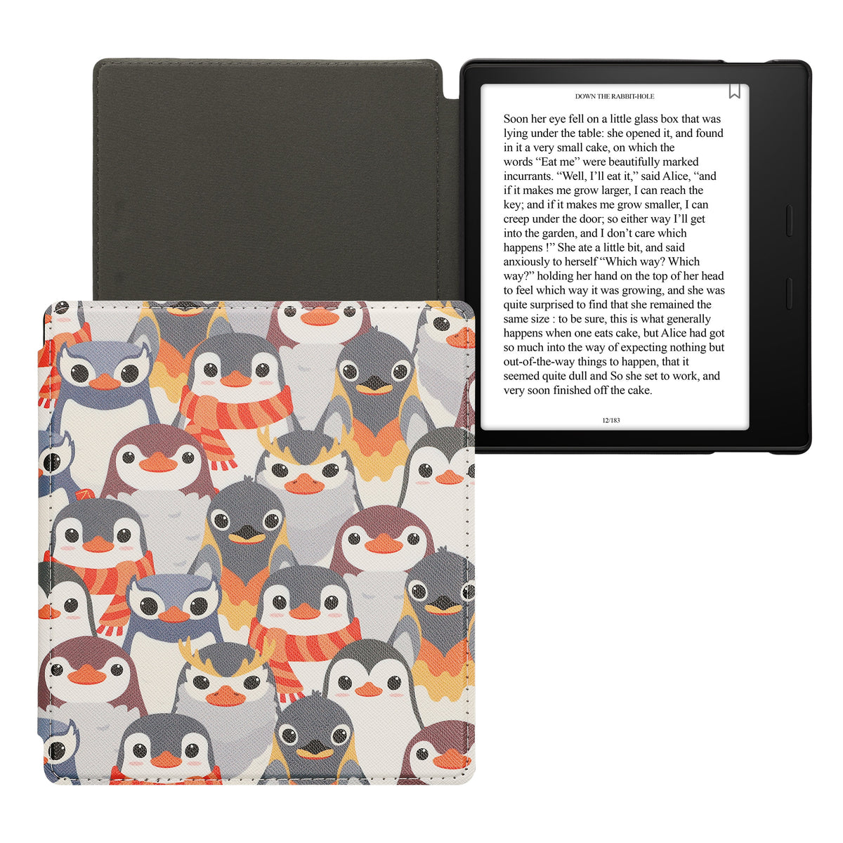 eReader Flip Case for Amazon Kindle Oasis 10th Generation with Auto Sleep