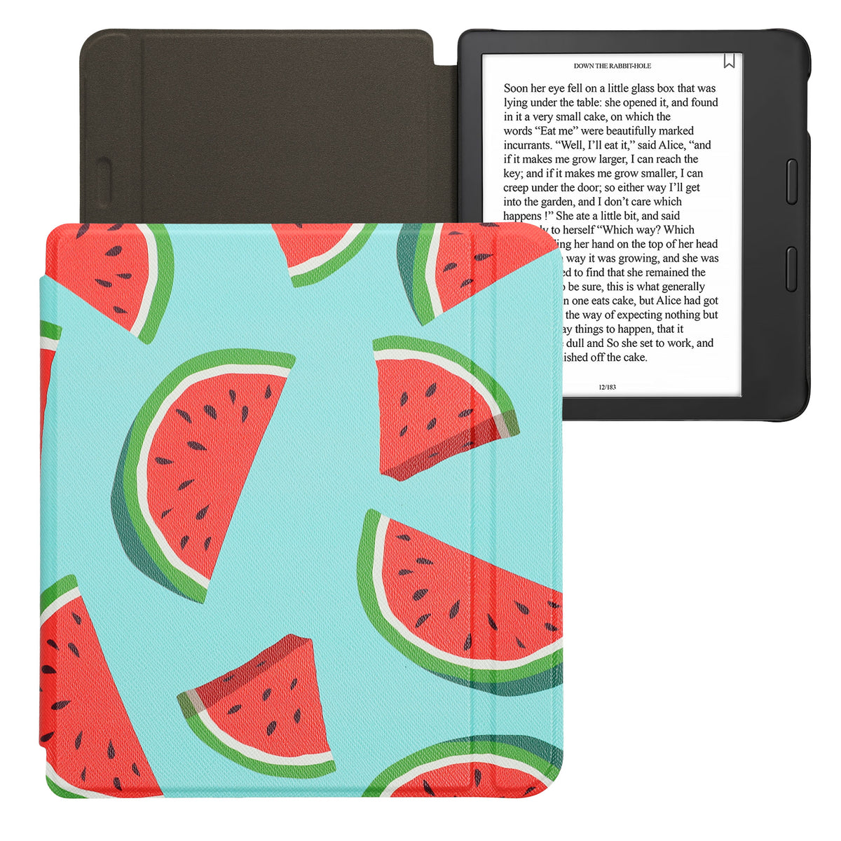 Tolino Vision 6 with Auto Sleep eReader Flip Case