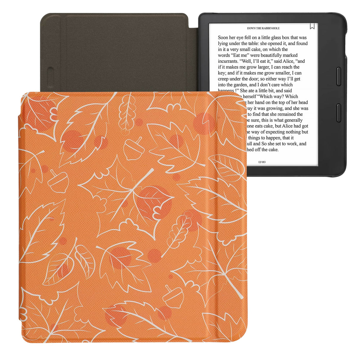 Tolino Vision 6 with Auto Sleep eReader Flip Case