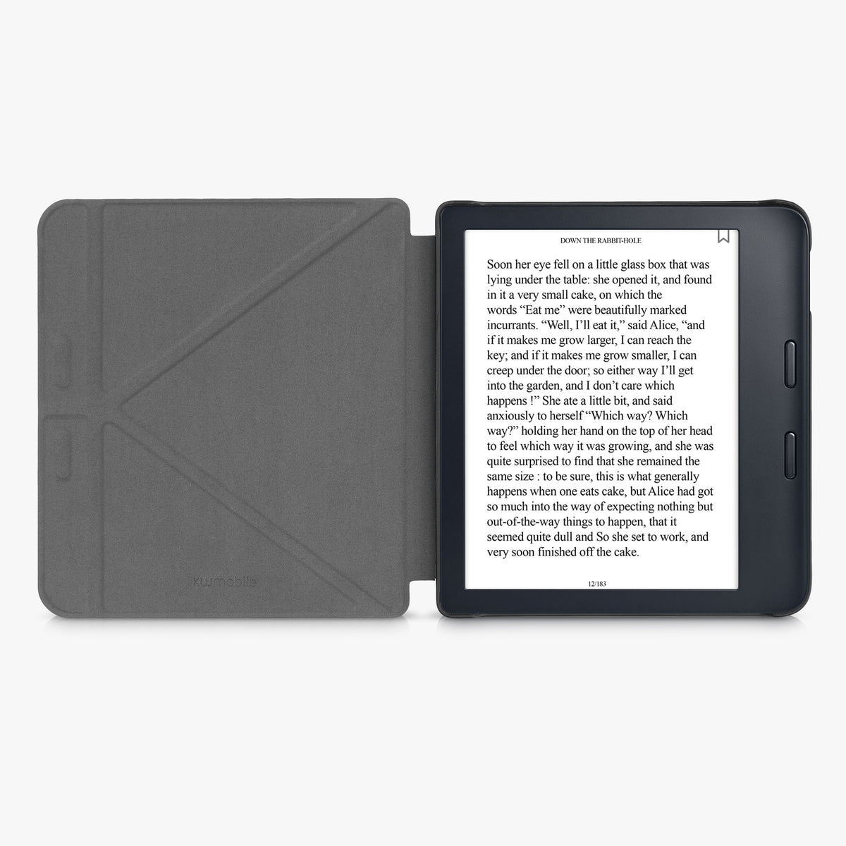 Tolino Vision 6 with Auto Sleep eReader Flip Case