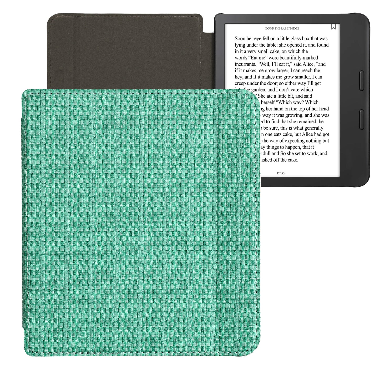 Case for Tolino Vision 6