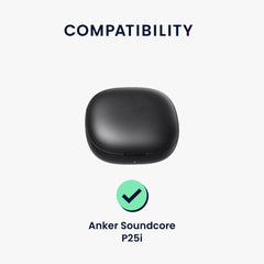 Anker Soundcore P25i Case