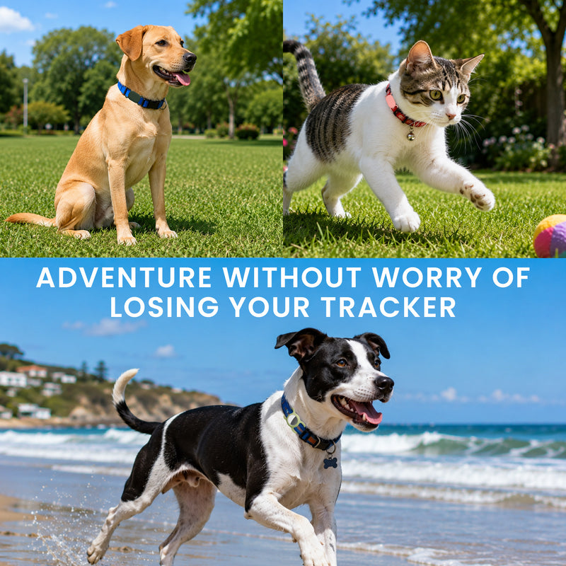 kwmobile Bluetooth Tracker Halter für Samsung Galaxy SmartTag 2 - Silikon Schutzhülle für Hunde Katzen Halsband - Smart Tag Holder für Haustiere - 1er Set Schwarz Schwarz Schwarz