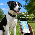 kwmobile Bluetooth Tracker Halter für Xiaomi SmartTag - Silikon Schutzhülle für Hunde Katzen Halsband - Smart Tag Holder für Haustiere - 1er Set Schwarz Weiß Schwarz